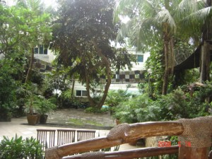 garden